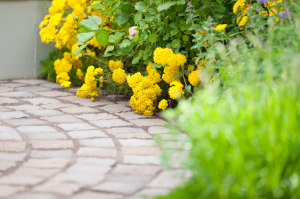creating the perfect patio