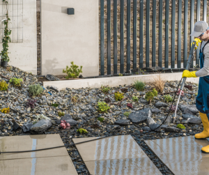 discover the beauty of concrete stamped