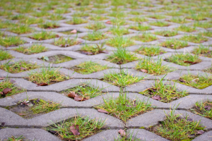 A Closer Look at Concrete Eco-Friendly Advantages