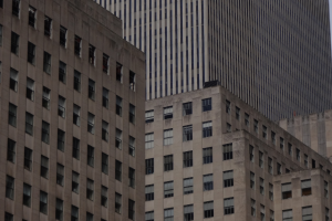unveiling the aesthetic appeal of concrete beauty